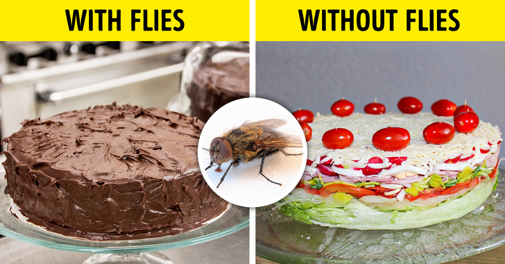 Если бы все насекомые на нашей планете исчезли
