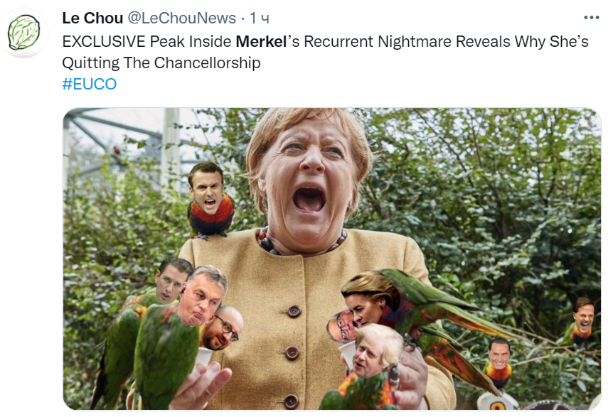 На Меркель \"напали\" попугаи. В сети пошла волна мемов и фотожаб 