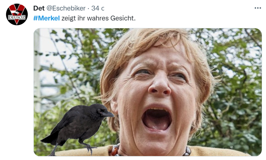 На Меркель \"напали\" попугаи. В сети пошла волна мемов и фотожаб 
