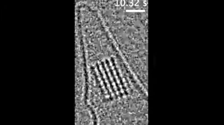 Ученым удалось снять кристаллизацию соли на атомном уровне (ВИДЕО)