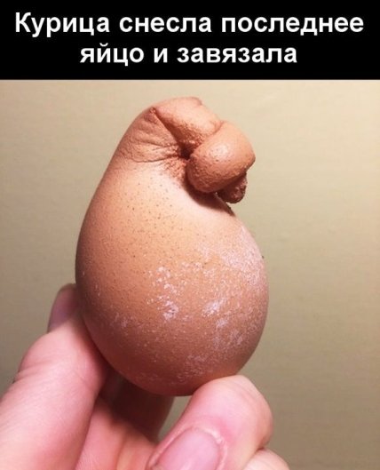 Смешные картинки ко Дню яиц