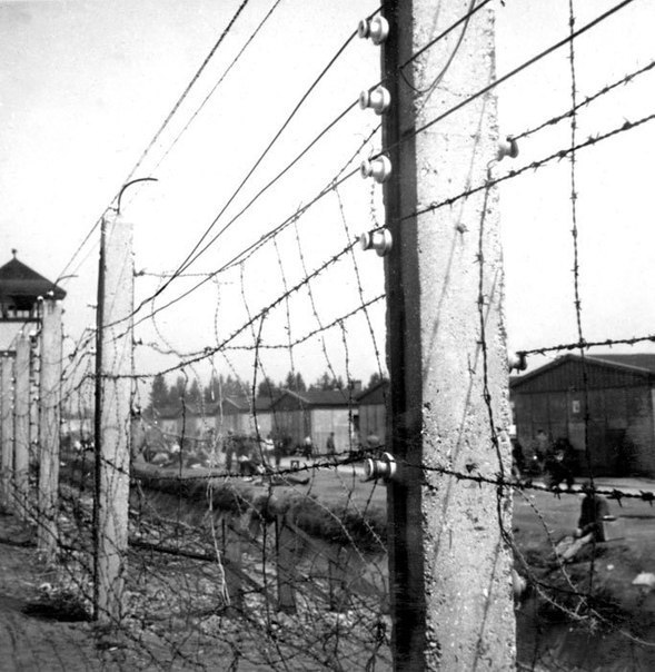 Серия фотографий, сделанных в немецком концлагере Дахау, 1945 год. ФОТО