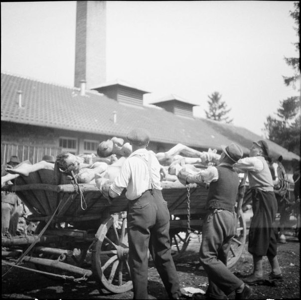 Серия фотографий, сделанных в немецком концлагере Дахау, 1945 год. ФОТО
