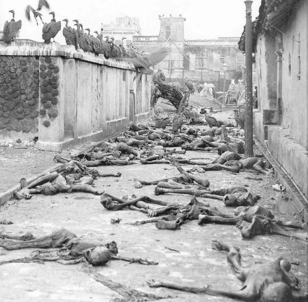 Во время голода в Бенгалии умерло от 1,5 до 4,3 млн. человек, 1943г. ФОТО