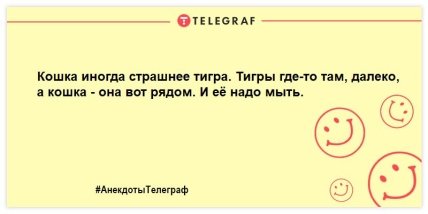 Собака любит просто так, а кот — из-за корма: уморительные шутки о кошках (ФОТО)