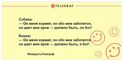 Разбавьте свой вечер яркими красками: шутки, которые подарят вам улыбку (ФОТО)