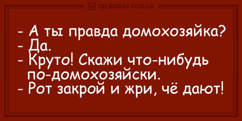 Свежие анекдоты о языке домохозяек и способностях котов