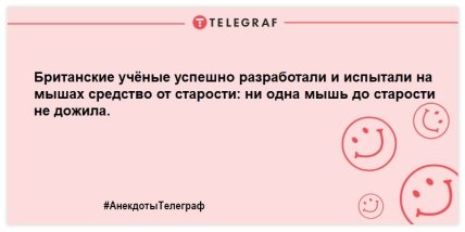 Самые большие затейники — британские ученые: лучшие шутки про них (ФОТО)