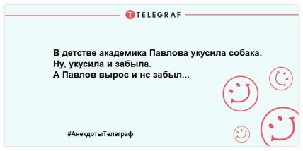 Стройная как бездомная собака: юморные анекдоты о друзьях наших меньших не оставят места грусти (ФОТО)