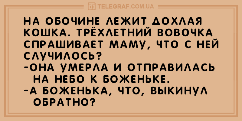 Свежая подборка анекдотов для поднятия настроения