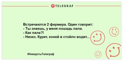 У хорошего агронома ячмень растет прямо на глазах: веселые анекдоты про сельское хозяйство (ФОТО)