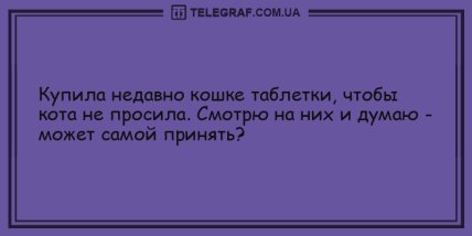 Озари мир своей улыбкой: порция веселых шуток на утро (ФОТО)