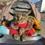 Житомирский кот стал рекордсменом Украины (ВИДЕО)