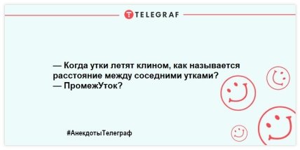 Немного веселья никогда не помешает: свежая подборка анекдотов 