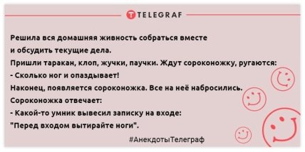 Для тех, кто встал не с той ноги: утренние анекдоты, которые заставят вас смеяться