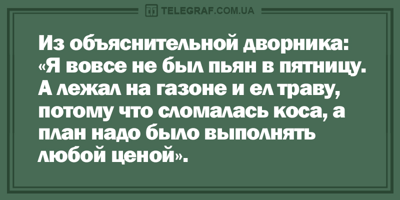 Новая «порция» анекдотов для поднятия настроения