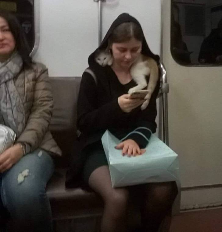 Уморительные пассажиры, встречающиеся в метро