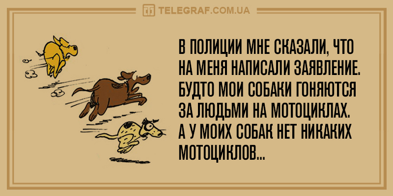 Свежая порция субботних шуток для поднятия настроения