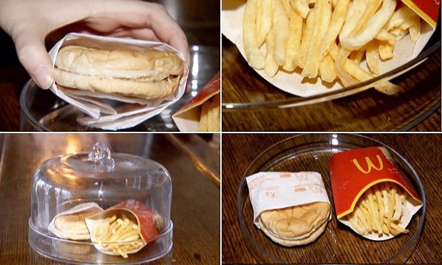 Чизбургер и картофель фри из McDonald’s после 6 лет хранения. ФОТО