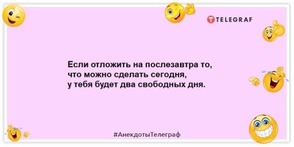 Развелись через месяц, потому что коты не сошлись характерами: смешные анекдоты на вечер 