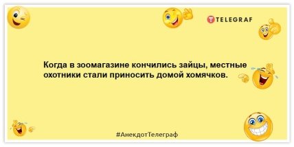 Пришел кот из комнаты и сообщил, что елка потеряла сознание: подборка позитивных анекдотов (ФОТО)