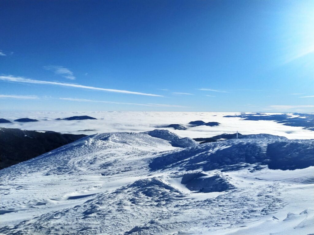 Заснеженные Карпаты показали на сказочных снимках. Фото