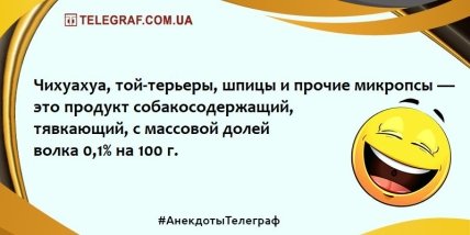 Для тех, кто встал не с той ноги: анекдоты, которые заставят вас смеяться 