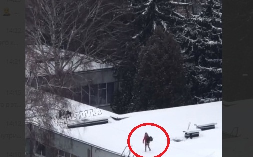 В Харькове девушка залезла на крышу здания за еловыми ветками (ФОТО, ВИДЕО)