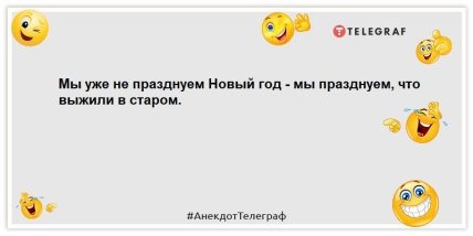 На Новый год кто-то один в семье должен быть трезвым. Выбрали кота: шутки  1 января