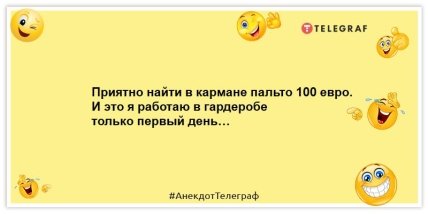 Пришел кот из комнаты и сообщил, что елка потеряла сознание: подборка позитивных анекдотов