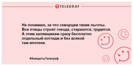 Немного веселья никогда не помешает: свежая подборка анекдотов