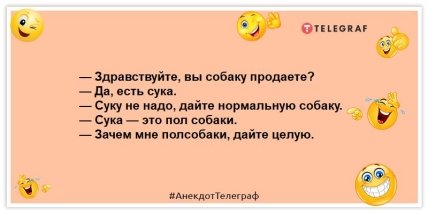 Что нужно для скандала? Ничего и жена! Веселые анекдоты на вечер (ФОТО)