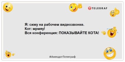 Не откладывайте ничего на завтра — кладите на все уже сегодня: уморительные шутки на день (ФОТО)