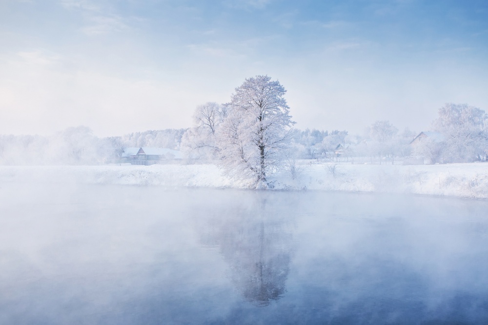 Фотография: Фотограф ежедневно встает рано утром, чтобы запечатлеть красоту зимы №3 - BigPicture.ru