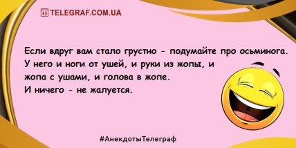 Держись на волне позитива: новые анекдоты на утро (ФОТО)