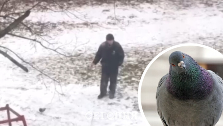В Киеве мужчина выгуливал голубя на поводке (видео)