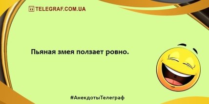 Хороший день, чтобы расслабиться: уморительные анекдоты