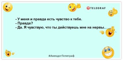 В студенческой общаге пропала кошка. Вот такие пироги: прикольные утренние шутки (ВИДЕО)