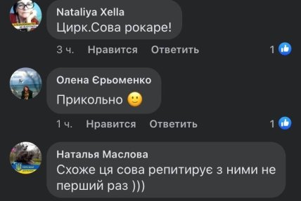 В сети активно обсуждают \"танцующую\" в церкви сову (видео)