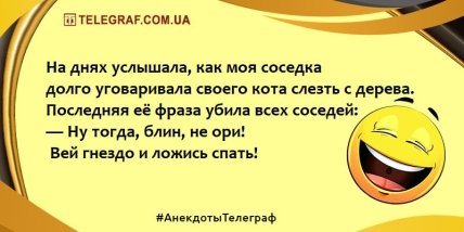 Для хорошего настроения: анекдоты, которые скрасят ваш вечер