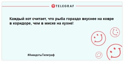 Пятница-развратница: уморительные анекдоты для хорошего настроения (ФОТО)