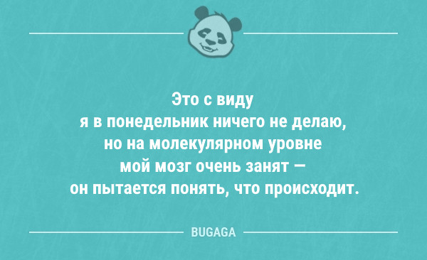 Смешные анекдоты в начале недели (10 шт)