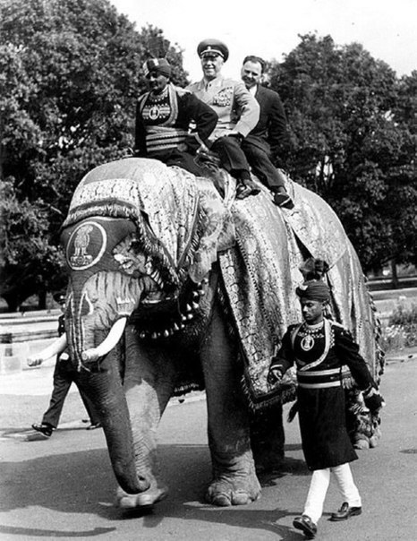 Маршал Жуков катается на слоне во время визита в Индию, 1957 г. ФОТО