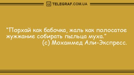 Подарите миру свою улыбку: подборка смешных анекдотов на утро