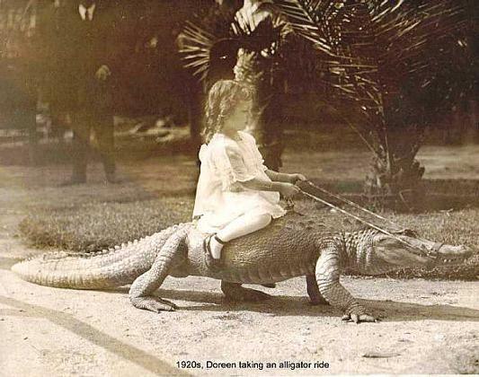 Ездовой крокодил, 1920 г. ФОТО