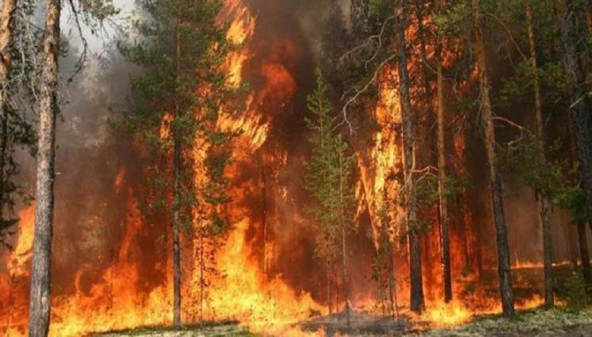 Под Николаевом масштабный пожар — горит 10 га леса