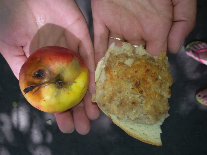 В детсаду в Николаеве детей кормят гнилыми яблоками и котлетами из риса
