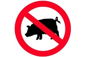 Африканская чума свиней: Николаев признан зоной надзора