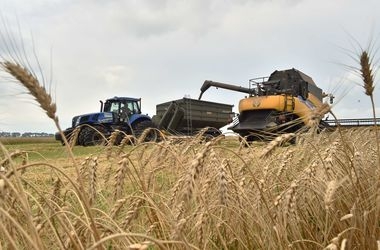 Украина собрала рекордный урожай, но хлеб может подорожать 