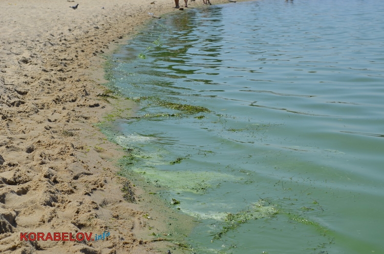 В воде на пляжах Коблево, Очакова и Николаева купаться нельзя